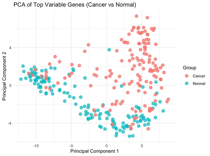 ภาพจำลองอนาคตการแพทย์ปี 2050 ด้วยระบบเครือข่ายการตอบสนองยาแบบไดนามิก DDRN